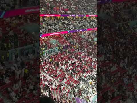 卡萨多赛季,报销伤情令,人忧虑,万博manbetx体育平台,万博体育官网,万博体育app下载,ManBetX,SPORTS