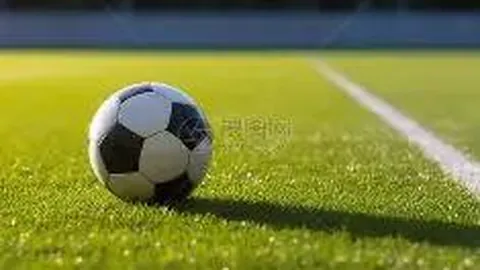 图多尔：激发图拉姆激情的杰出教练，凯夫伦赞誉有加