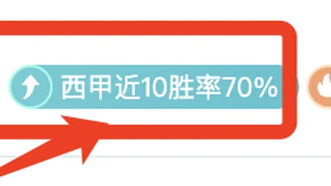 “2025年澳网新增匹克球项目，高额奖金达10万美元”